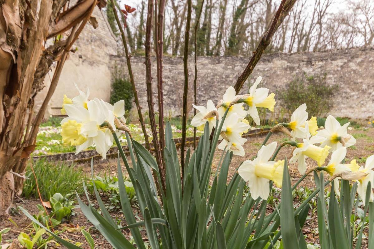 Le Clos De Tweed Tanlay エクステリア 写真